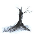 tree drawing with gillott 303 and ink